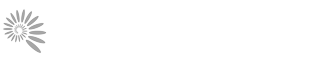 Message Design Logo